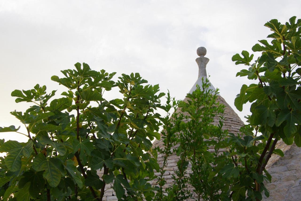 Masseria Sciaiani Piccola Villa Castelli ภายนอก รูปภาพ