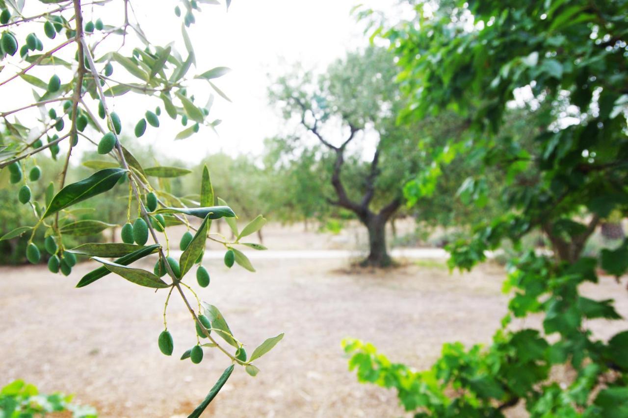 Masseria Sciaiani Piccola Villa Castelli ภายนอก รูปภาพ