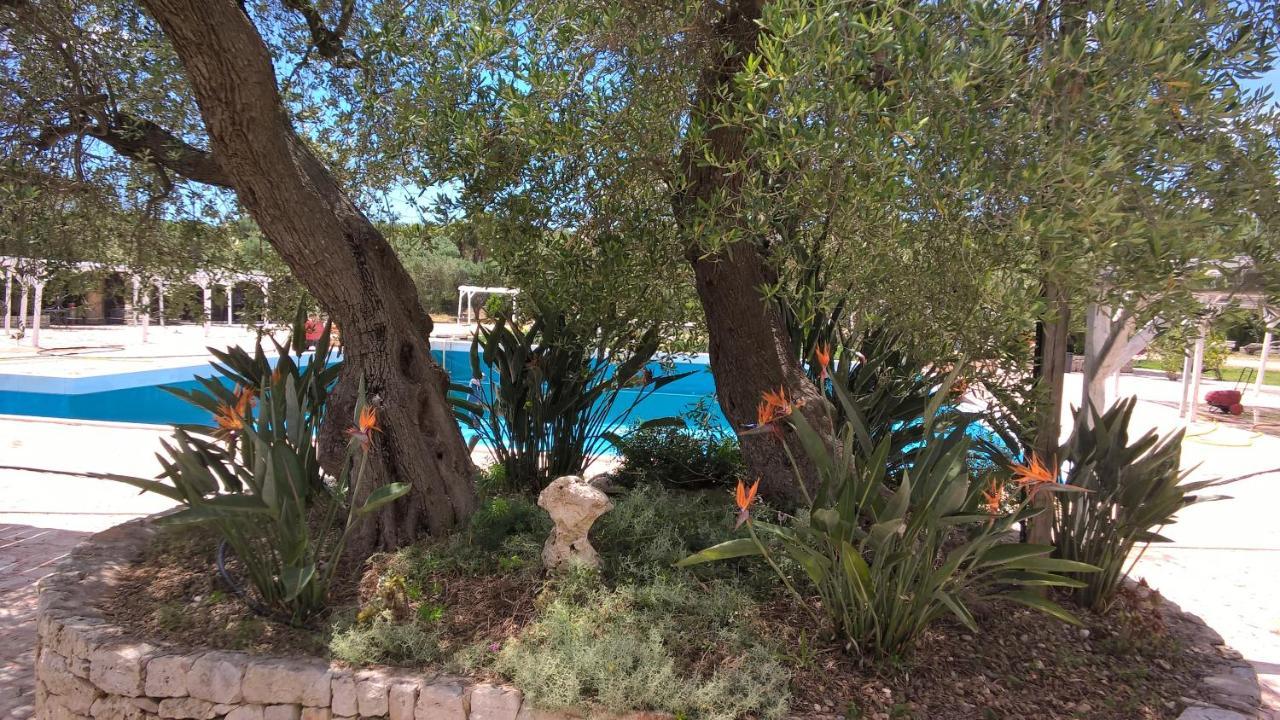 Masseria Sciaiani Piccola Villa Castelli ภายนอก รูปภาพ