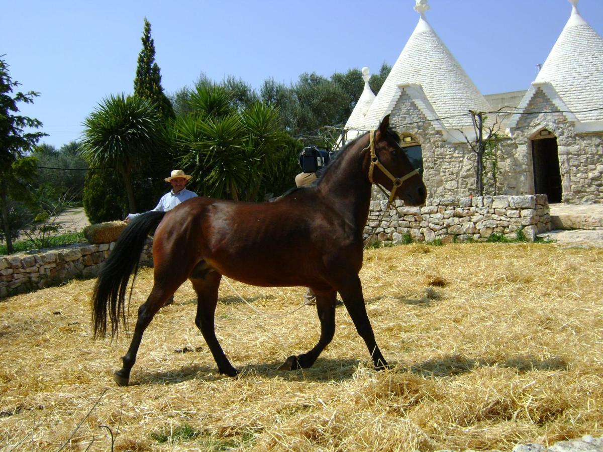 Masseria Sciaiani Piccola Villa Castelli ภายนอก รูปภาพ