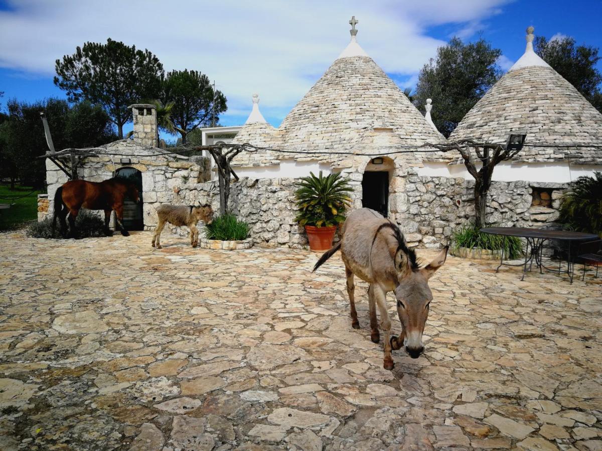 Masseria Sciaiani Piccola Villa Castelli ภายนอก รูปภาพ
